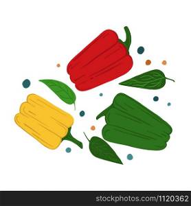 Bell peppers and leaves. Hand draw vegetable print. Vector illustration.. Bell peppers and leaves. Hand draw vegetable print.