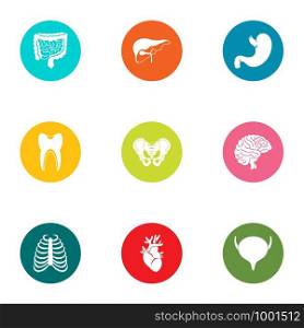 Belly icons set. Flat set of 9 belly vector icons for web isolated on white background. Belly icons set, flat style