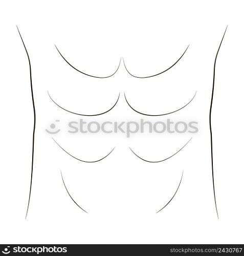 belly press bodybuilder, vector drawing of abdominal and groin muscles, inflated press