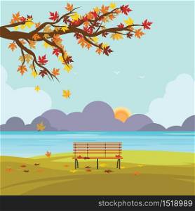 Bench in autumn park with fall leaves on the branches of trees on field in sunny day, vector illustration.
