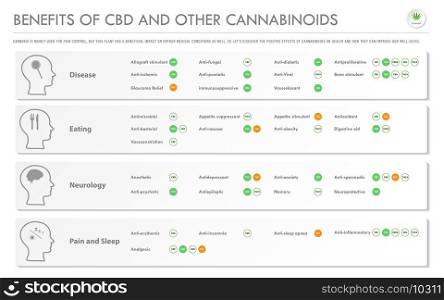 Benefits of CBD and Other Cannabinoids horizontal business infographic illustration about cannabis as herbal alternative medicine and chemical therapy, healthcare and medical science vector.