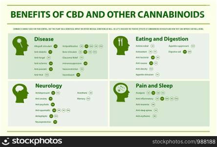 Benefits of CBD and Other Cannabinoids horizontal infographic illustration about cannabis as herbal alternative medicine and chemical therapy, healthcare and medical science vector.