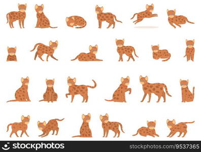 Bengal cat icons set cartoon vector. Nature animal. Pet wild. Bengal cat icons set cartoon vector. Nature animal