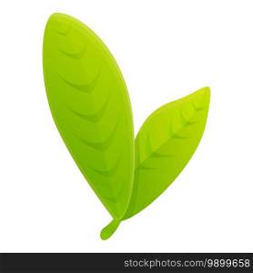Bergamot green leafs icon. Cartoon of bergamot green leafs vector icon for web design isolated on white background. Bergamot green leafs icon, cartoon style