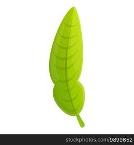 Bergamot leaf icon. Cartoon of bergamot leaf vector icon for web design isolated on white background. Bergamot leaf icon, cartoon style
