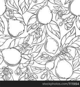 bergamot seamless pattern. bergamot branches seamless pattern on white background