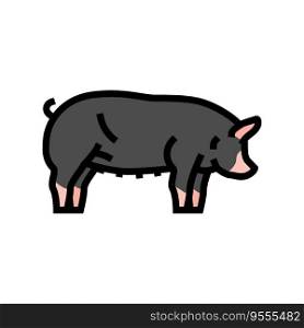 berkshire pig breed color icon vector. berkshire pig breed sign. isolated symbol illustration. berkshire pig breed color icon vector illustration
