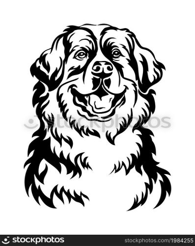 Bernese mountain dog black contour portrait. Dog head in front view vector illustration isolated on white. For decor, design, print, poster, postcard, sticker, t-shirt, cricut, tattoo and embroidery. Bernese mountain dog vector black contour portrait vector