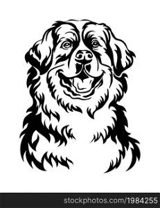 Bernese mountain dog black contour portrait. Dog head in front view vector illustration isolated on white. For decor, design, print, poster, postcard, sticker, t-shirt, cricut, tattoo and embroidery. Bernese mountain dog vector black contour portrait vector