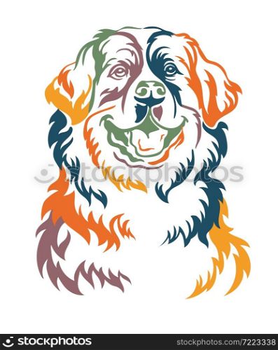Bernese mountain dog color contour portrait. Dog head in front view vector illustration isolated on white. For decor, design, print, poster, postcard, sticker, t-shirt, cricut, tattoo and embroidery. Bernese mountain dog vector color contour portrait vector