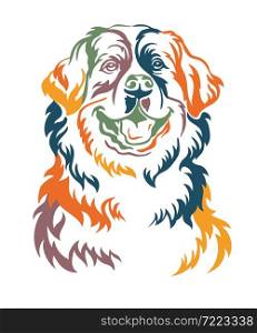 Bernese mountain dog color contour portrait. Dog head in front view vector illustration isolated on white. For decor, design, print, poster, postcard, sticker, t-shirt, cricut, tattoo and embroidery. Bernese mountain dog vector color contour portrait vector
