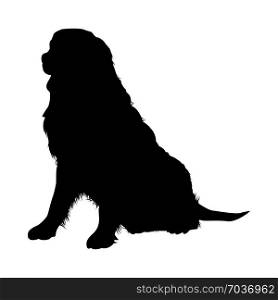 Bernese Mountain Dog Silhouette. Smooth Vector Illustration.