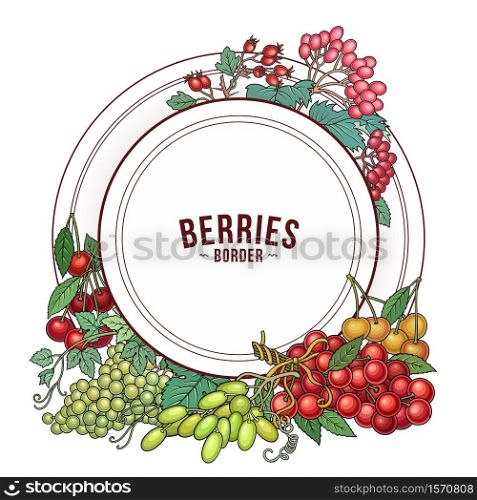 Berries and fruits hand drawn vector doodles illustration. Nature and food elements and objects cartoon background. Round frame design. Berries and fruits hand drawn doodles illustration