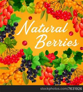 Berries and fruits, vector farm or garden food. Red and black currant branches, gooseberry, cranberry, barberry, sandthorn and viburnum bunches frame border with fresh berries and green leaves. Berries and fruits, farm and garden food