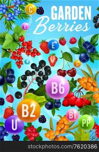 Berries and vitamins, healthy natural organic fruits food. Vector garden cherry, strawberry and raspberry, forest blueberry, rose hip fruits and sea buckthorn, super food black and red currant berry. Garden berries, organic natural fruit vitamins