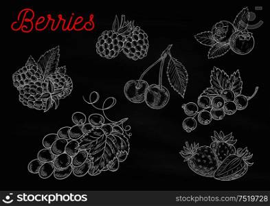 Berries chalk sketch icons on blackboard background. Vector chalked berry strawberry, blackberry, blueberry, cherry, raspberry, black currant, grape with leaves for cafe, restaurant menu board. Berries chalk sketch icons on blackboard