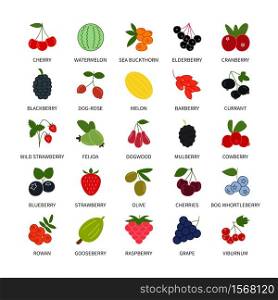 Berries colored vector icons symbols set. Business analysis, design elements berries, icon fresh healthy products, vegetables, fruits, food vegan. Isolated collection of Berries for web sites.. Berries colored vector icons symbols set. Isolated collection of Berries for websites and mobile telephones.