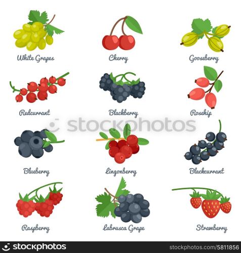 Berries flat icons set with grape cherry gooseberry blackberry isolated vector illustration. Berries Flat Icons Set