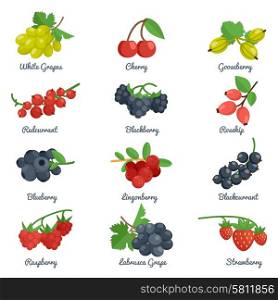 Berries flat icons set with grape cherry gooseberry blackberry isolated vector illustration. Berries Flat Icons Set