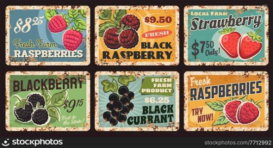 Berries, fruit market food metal rusty plates and price cards, vector retro posters. Farm garden black raspberry, strawberry, blackberry and blackcurrant berries harvest, metal plates with rust. Berries, fruit market food metal rusty plates