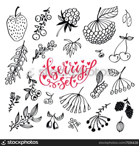 Berries hand drawn doodle set. Vector isolated berry set on white background.. Berries hand drawn doodle set. Vector isolated berry set on white background