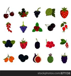 Berries icon set. Flat set of berries vector icons for web design isolated on white background. Berries icon set, flat style