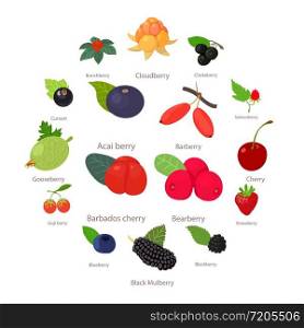 Berries icons set. Cartoon illustration of 16 berries vector icons for web. Berries icons set, cartoon style