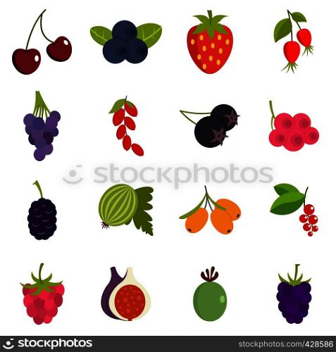 Berries icons set in flat style isolated vector illustration. Berries icons set in flat style