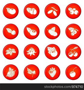 Berries icons set vector red circle isolated on white background . Berries icons set red vector