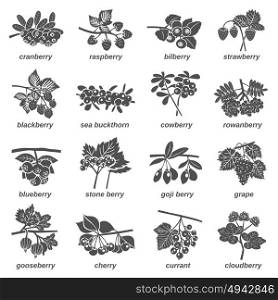 Berries Monochrome Icons Set. Monochrome collection images of twigs with forest and garden berries and leaves flat isolated vector illustration
