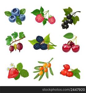 Berries of trees and shrubs set with green leaves isolated vector illustration. Berries Of Trees And Shrubs Set 