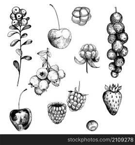 Berries set. Currant, strawberry, blueberry, cloudberry, blackberries, cherries. Vector hand-drawn illustration.. Berries set