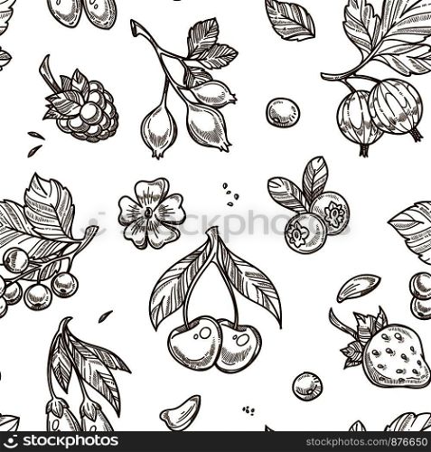 Berries sketch pattern background. Vector seamless design of gooseberry, currant or strawberry and raspberry fruits, blackberry and blueberry or cranberry and cherry. Berries sketch vector seamless pattern background
