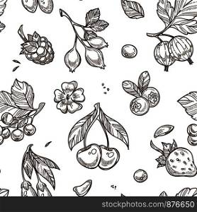Berries sketch pattern background. Vector seamless design of gooseberry, currant or strawberry and raspberry fruits, blackberry and blueberry or cranberry and cherry. Berries sketch vector seamless pattern background