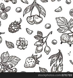 Berries sketch pattern background. Vector seamless flower, fruit and leaf of strawberry, raspberry or gooseberry and currant or strawberry and raspberry. Berries sketch pattern background. Vector seamless flower