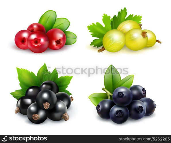 Berry Clusters Realistic Set. Set of isolated berry clusters in realistic style with gooseberries cranberries blueberries and black currants vector illustration