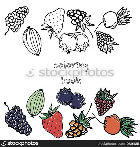 Berry color hand drawn vector set. Fruit botany illustration. Berries engraving doodle sketch line.Dessert ingredient.Great for web page background, wrapping paper, cards,notebook and invitation