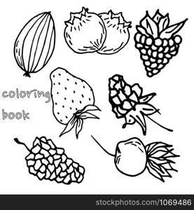 Berry color hand drawn vector set. Fruit botany illustration. Berries engraving doodle sketch line.Dessert ingredient.Great for web page background, wrapping paper, cards,notebook and invitation