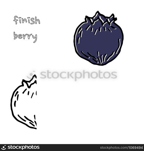 Berry color hand drawn vector set. Fruit botany illustration. Berries engraving doodle sketch line.Dessert ingredient.Great for web page background, wrapping paper, cards,notebook and invitation