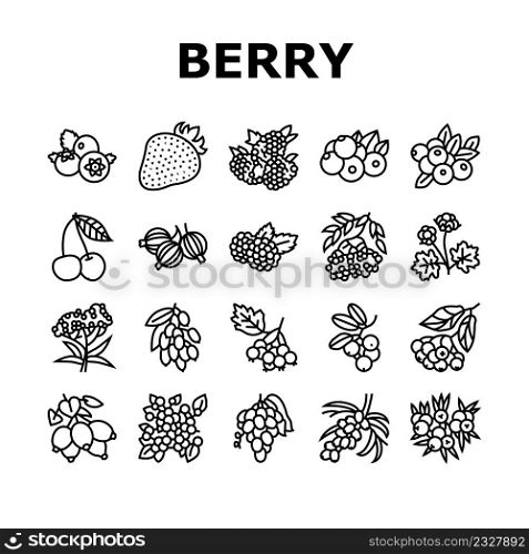 Berry Delicious And Vitamin Food Icons Set Vector. Huckleberry And Buckthorn Plant Branch, Juniper And Raspberry, Cloudberry And Cherry Berry, Juicy Gooseberry Blueberry Black Contour Illustrations. Berry Delicious And Vitamin Food Icons Set Vector