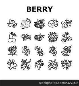 Berry Delicious And Vitamin Food Icons Set Vector. Huckleberry And Buckthorn Plant Branch, Juniper And Raspberry, Cloudberry And Cherry Berry, Juicy Gooseberry Blueberry Black Contour Illustrations. Berry Delicious And Vitamin Food Icons Set Vector