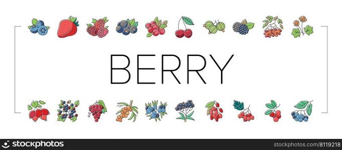 Berry Delicious And Vitamin Food Icons Set Vector. Huckleberry And Buckthorn Plant Branch, Juniper And Raspberry, Cloudberry And Cherry Berry, Juicy Gooseberry And Blueberry Color Illustrations. Berry Delicious And Vitamin Food Icons Set Vector