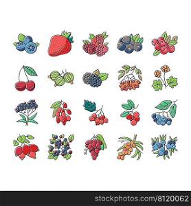Berry Delicious And Vitamin Food Icons Set Vector. Huckleberry And Buckthorn Plant Branch, Juniper And Raspberry, Cloudberry And Cherry Berry, Juicy Gooseberry And Blueberry Color Illustrations. Berry Delicious And Vitamin Food Icons Set Vector