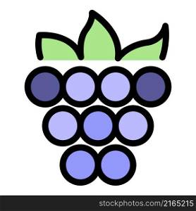 Berry food icon. Outline berry food vector icon color flat isolated. Berry food icon color outline vector