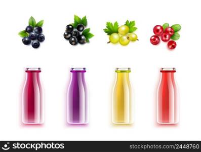 Berry juice realistic set with colored bottles and brushes of blueberry cranberry gooseberry and black currant vector illustration. Berry Juice Realistic Set