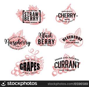 Berry lettering sketch calligraphy for farm market. Vector harvest or strawberry, cherry or organic raspberry and blueberry with blackberry, grapes and currant for juice or jam package design. Natural berries vector sketch lettering