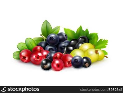 Berry Mix Realistic Concept . Berry mix realistic concept with leaves and branches of blueberry cranberry gooseberry and black currant vector illustration