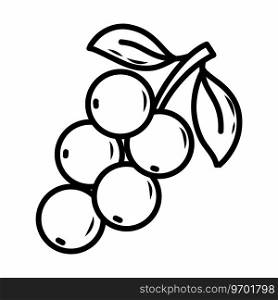 berry on branch in style of doodles. Currant. Coloring book for children. Hand drawn illustration.