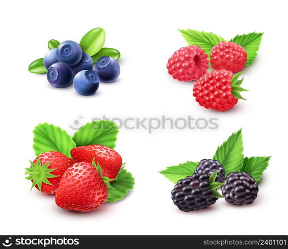 Berry realistic set with strawberry raspberry and blackberry isolated vector illustration . Berry Realistic Set