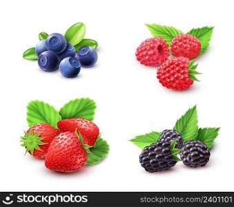 Berry realistic set with strawberry raspberry and blackberry isolated vector illustration . Berry Realistic Set